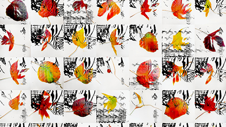 Helena uses this proven