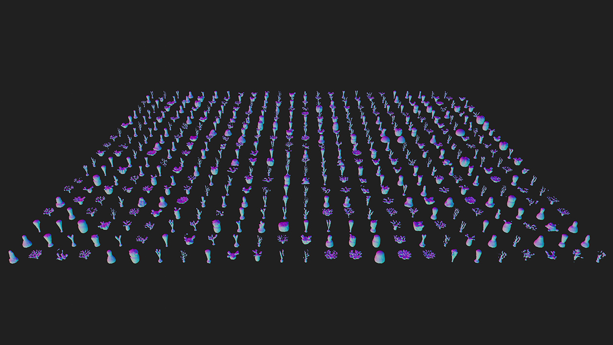 Synthetic coral data produced by Joel Simon